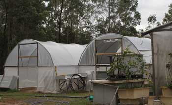 Greenhouses housing FloMedia systems